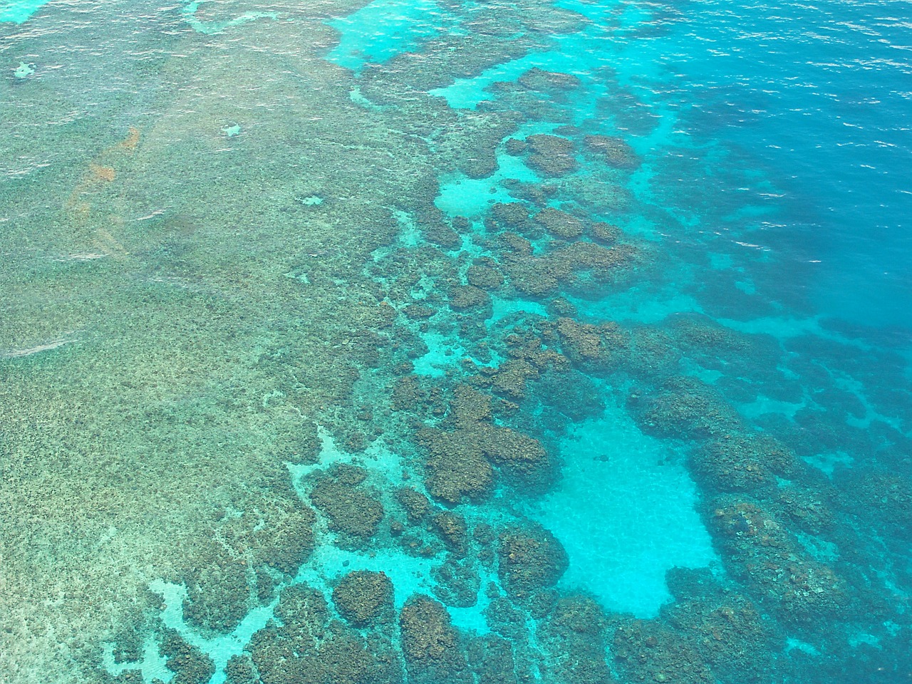 Why Australia is Awesome Great Barrier Reef
