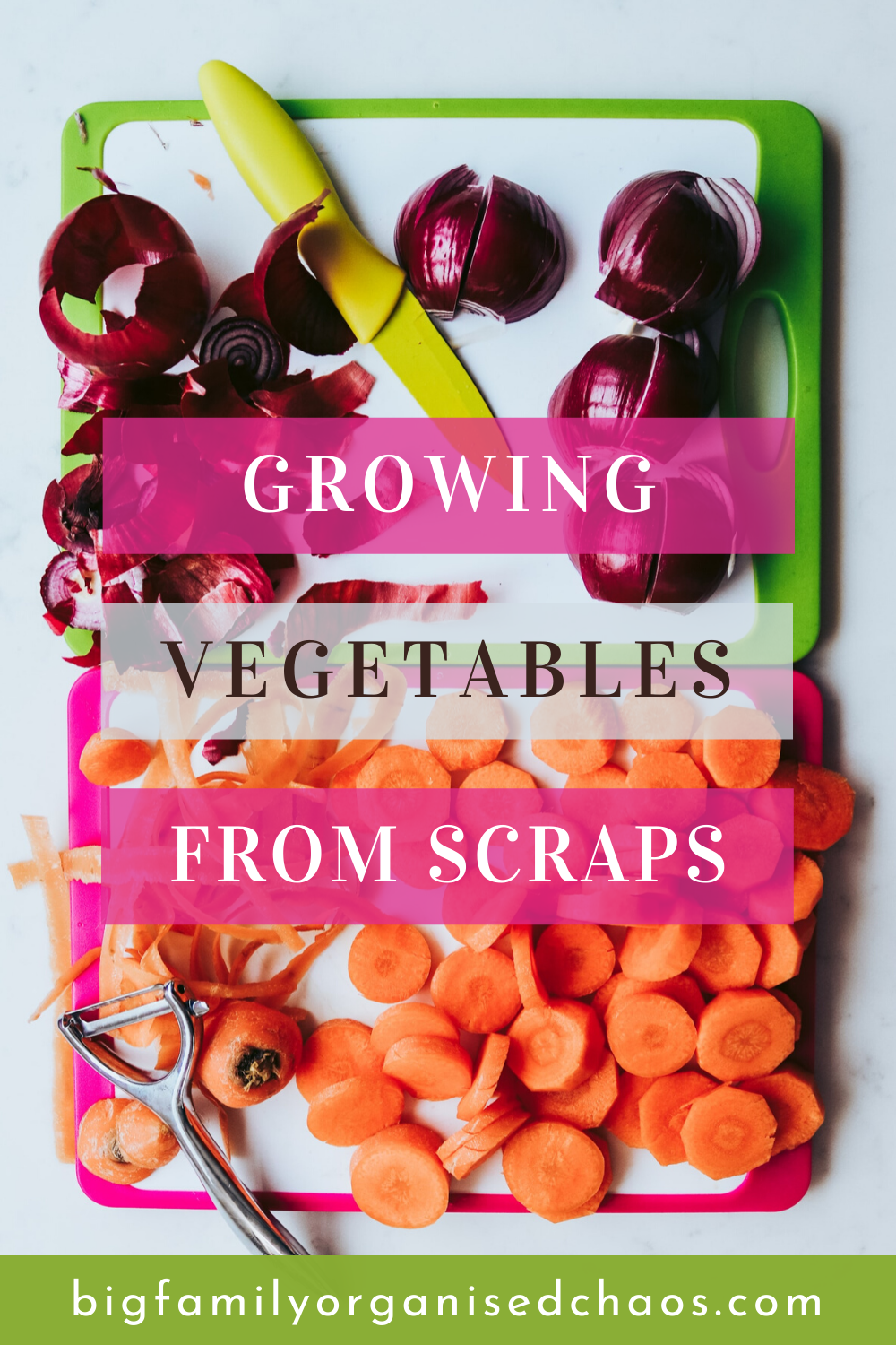 Growing Vegetables From Scraps 2020