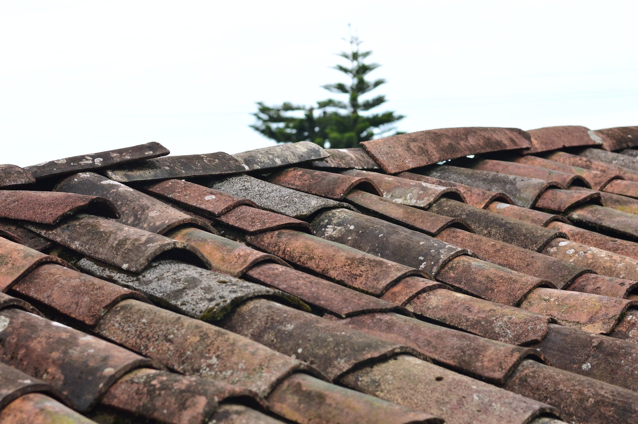 roof tiles of your home