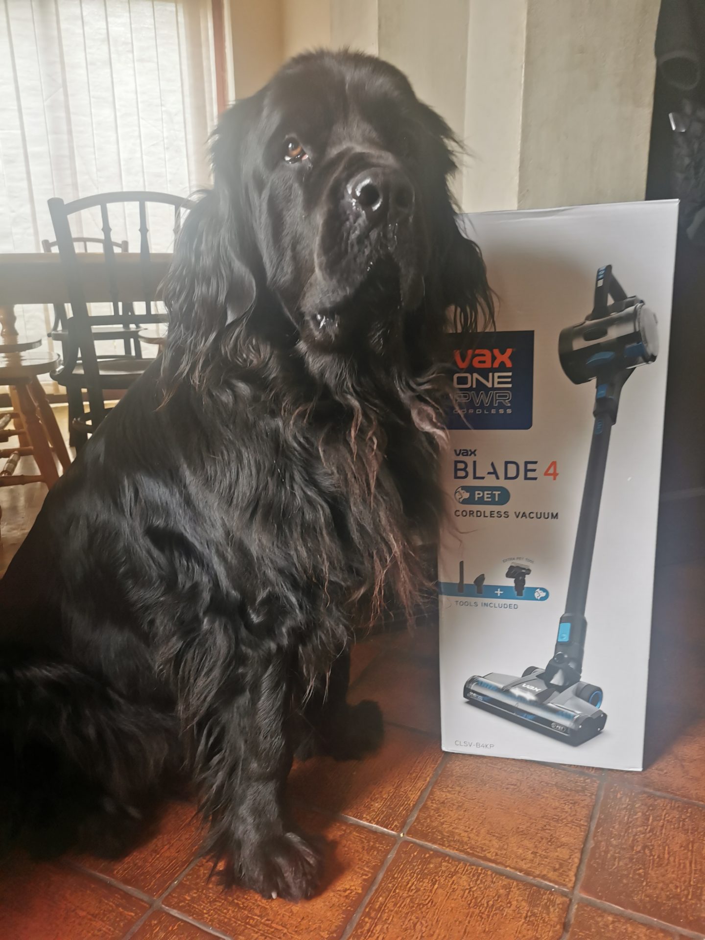 Vax onepwr blade 4 discount pet cordless vacuum cleaner review